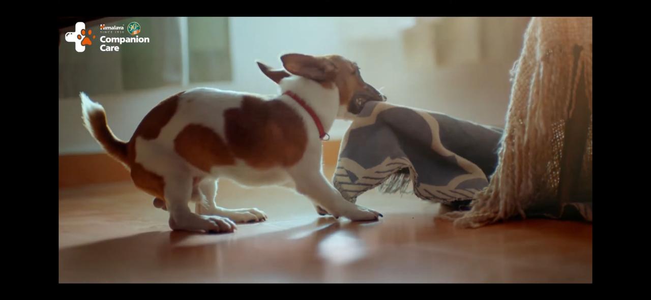 Brand : Himalaya Pet Food